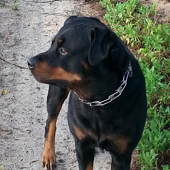 Not for sale - Picture 8 of 12